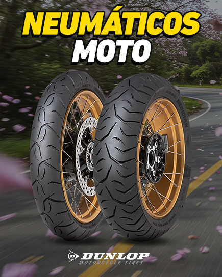 Neum&aacute;ticos Moto
